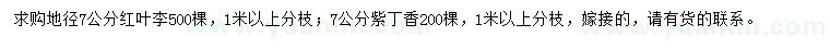 求購7公分紅葉李、紫丁香
