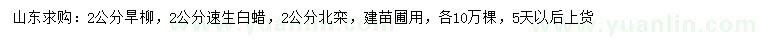 求購旱柳、速生白蠟、北欒