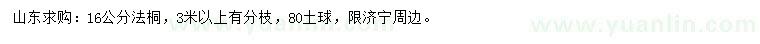 求購(gòu)16公分法桐