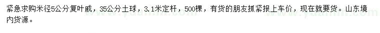 求購(gòu)米徑5公分復(fù)葉槭