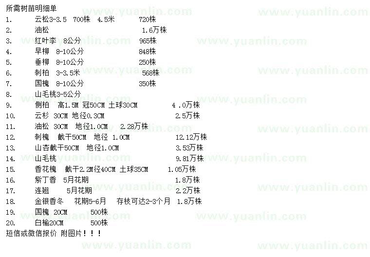 求購(gòu)云松、油松、紅葉李等