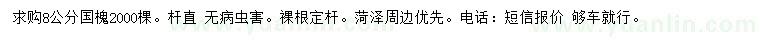 求購8公分國槐