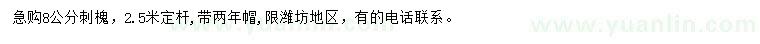 求購8公分刺槐
