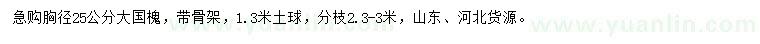 求購胸徑25公分大國槐