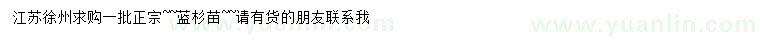 求購藍(lán)杉苗