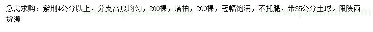 求購4公分以上紫荊、塔柏