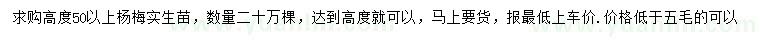 求購高50公分以上楊梅苗