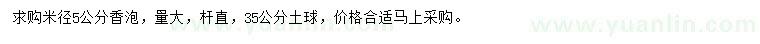 求購5公分香泡