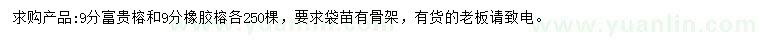 求購9公分富貴榕、橡膠榕
