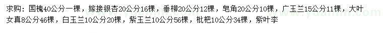 求購(gòu)國(guó)槐、嫁接銀杏、垂柳等
