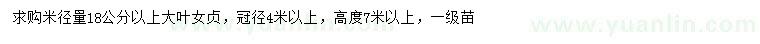 求購米徑18公分以上大葉女貞