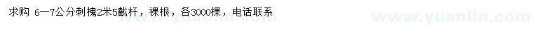 求購6-7公分刺槐