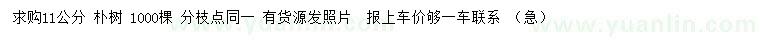 求購(gòu)11公分樸樹(shù)