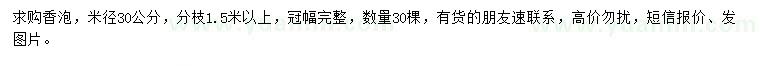 求購米徑30公分香泡