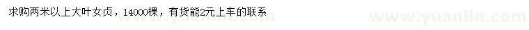 求購(gòu)2米以上大葉女貞