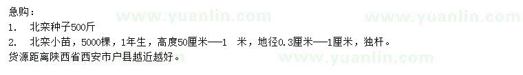 求購北欒種子、地徑0.3-1公分北欒小苗