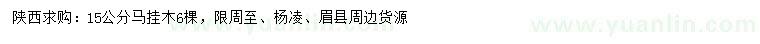 求購(gòu)15公分馬掛木