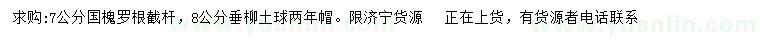 求購7公分國槐、8公分垂柳
