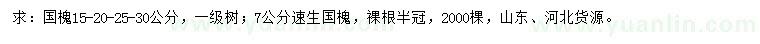 求購15、20、25、30公分國槐、7公分速生國槐