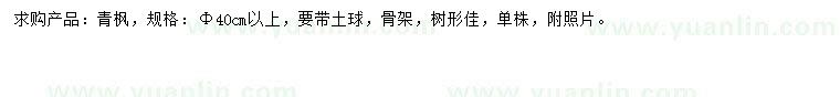求購(gòu)40公分青楓