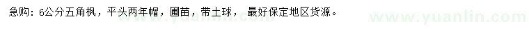 求購6公分五角楓