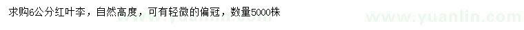 求購(gòu)6公分紅葉李
