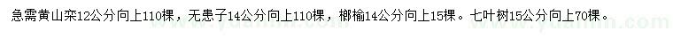 求購(gòu)黃山欒、無(wú)患子、榔榆等