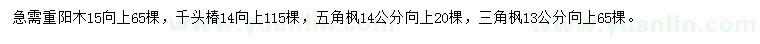 求購(gòu)重陽(yáng)木、千頭椿、五角楓