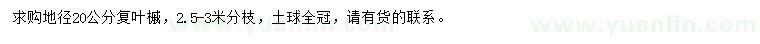 求購地徑20公分復(fù)葉槭