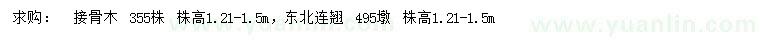 求購(gòu)高1.21-1.5米接骨木、東北連翹
