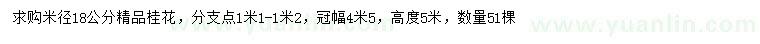 求購米徑18公分桂花