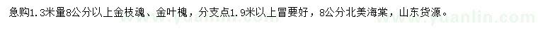 求購(gòu)金枝魂、金葉槐、北美海棠