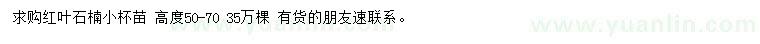 求購高50-70公分紅葉石楠小杯苗