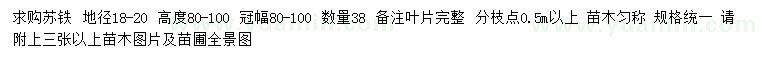 求購地徑18-20公分蘇鐵