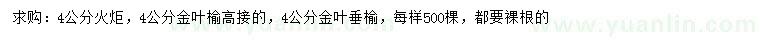 求購火炬、金葉榆、金葉垂榆