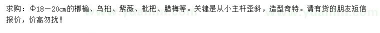 求購(gòu)榔榆、烏桕、紫薇等
