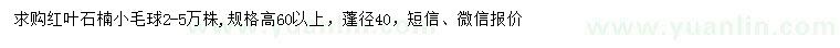 求購高60公分以上紅葉石楠小毛球