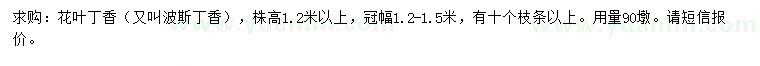 求購高1.2米以上花葉丁香