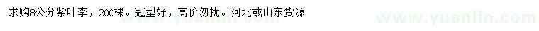 求購(gòu)8公分紫葉李
