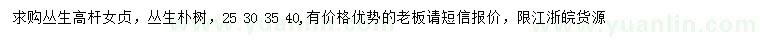 求購叢生高桿女貞、叢生樸樹