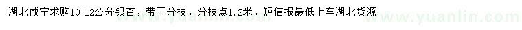 求購10-12公分銀杏
