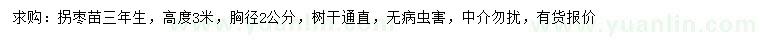 求購三年生拐棗苗