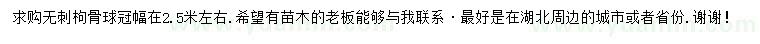 求購冠幅2.5米無刺枸骨球
