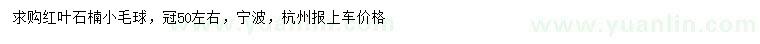 求購紅葉石楠小毛球