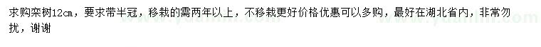 求購12公分欒樹