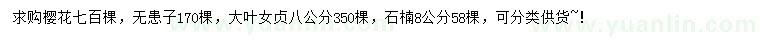 求購櫻花、無患子、大葉女貞等