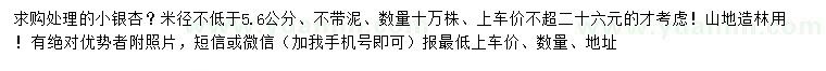 求購米徑5.6公分以上銀杏