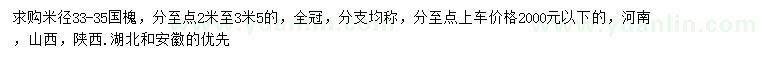 求購米徑33-35公分國槐