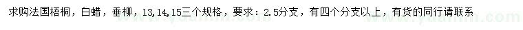 求購法國梧桐、白蠟、垂柳