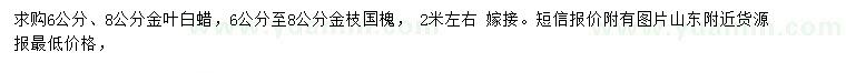 求購(gòu)6、8公分金葉白蠟、金枝國(guó)槐